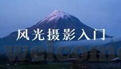 91精品麻豆-探秘数字世界的独特魅力，深度挖掘91精品麻豆的独特价值与文化影响