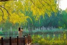 91麻豆蜜臀国产自产在线观看-尊享国产魅力，探索麻豆蜜臀的独特风情