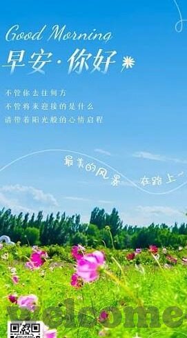 成人超碰视频在线观看-成人超碰视频，网络世界的灰色地带与风险警示