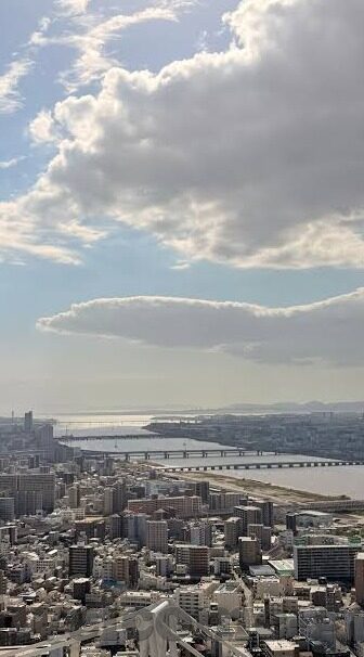 国产麻豆传媒app-