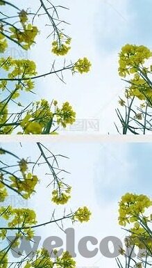 久久麻豆精亚洲av品国产一区-探索多样化娱乐文化的边界，久久的麻豆与国产内容
