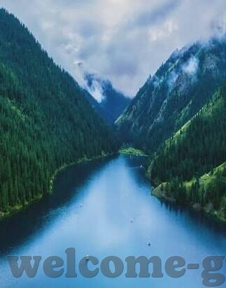 麻豆传媒视频高清-虚拟世界中的真实体验 —— 麻豆传媒高清视频的艺术性
