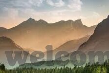 人妻ova无修国语八达-探索人妻OVA无修国语八达的多元视角与文化现象