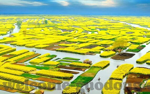 糖心app地址-深度剖析糖心app下载与使用体验