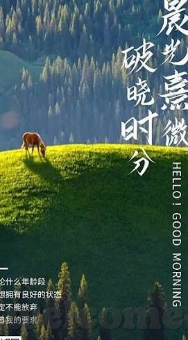 糖心VLOG传媒-糖心VLOG传媒，塑造互联网视频内容新风尚