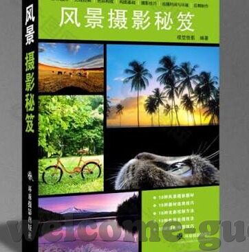 一个人的视频全免费中文字幕-探索一个人的视频全免费中文字幕的无限魅力